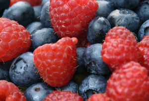 photolibrary_rf_photo_of_assortment_of_berries